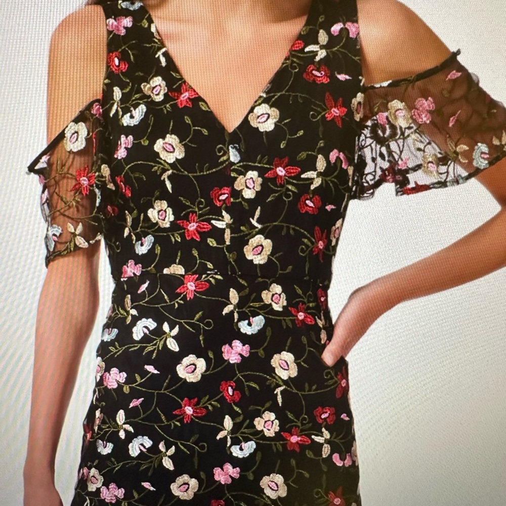 Sam Edelman mesh embroidered Midi dress size 12.